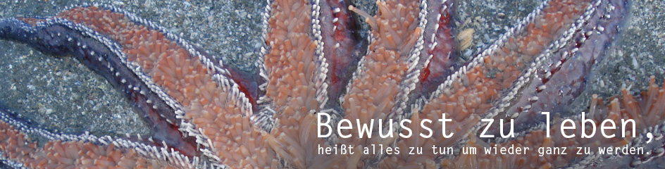 bewusst und sein | Institut f&uuml;r Pers&ouml;nlichkeitsentwicklung, Psychotherapie und Weiterbildung